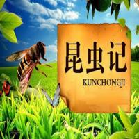 儿童有声故事读物《法布尔昆虫记 (多版本) 》