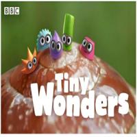 BBC少儿科普动画《小奇迹 Tiny Wonders (视频+音频) 》