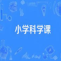 分之道《小学科学同步网课动画片 (1-6年级) 》