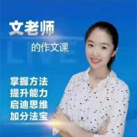 文老师作文课-小学语文3456年级写作提升训练技巧