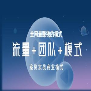 王冲老师《流量+团队+模式》商业模式实战课，全网最赚钱的模式
