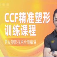 展老师 CCF精准塑形训练课程【200节精讲】男女塑形增肌
