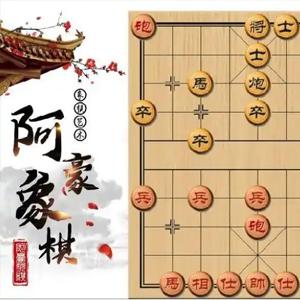 豪氏象棋教程， 豪氏象棋以擅长布局飞刀闻名