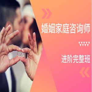 婚姻家庭咨询指导师视频课程 视频课