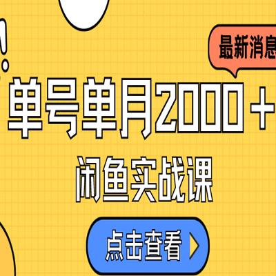 咸鱼虚拟资料新模式，月入2w＋，可批量复制，单号一天50-60没问题 多号多撸