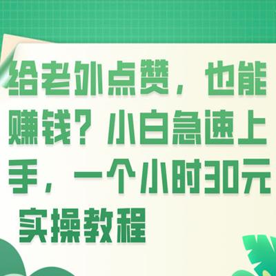 给老外点赞，也能赚钱？小白急速上手，实操教程