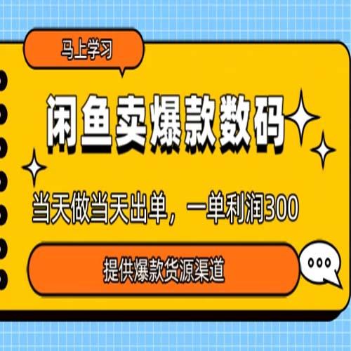 闲鱼卖爆款数码卖爆款数码，当天做当天出单，一单300＋