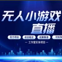 无人小游戏直播：0基础也能做的轻资产副业，解锁无人直播盈利新玩法，轻松月入1W+【揭秘】
