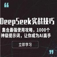 DeepSeek实战技巧：集合最强使用攻略，1000个神级提示词，让你成为AI高手 