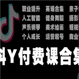 某音热门付费教程合集，减脂训练课、AI教学教程、web前端高阶进阶班、电商培训课程等内容